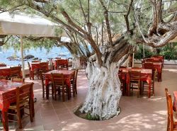 Taverne in Plakias